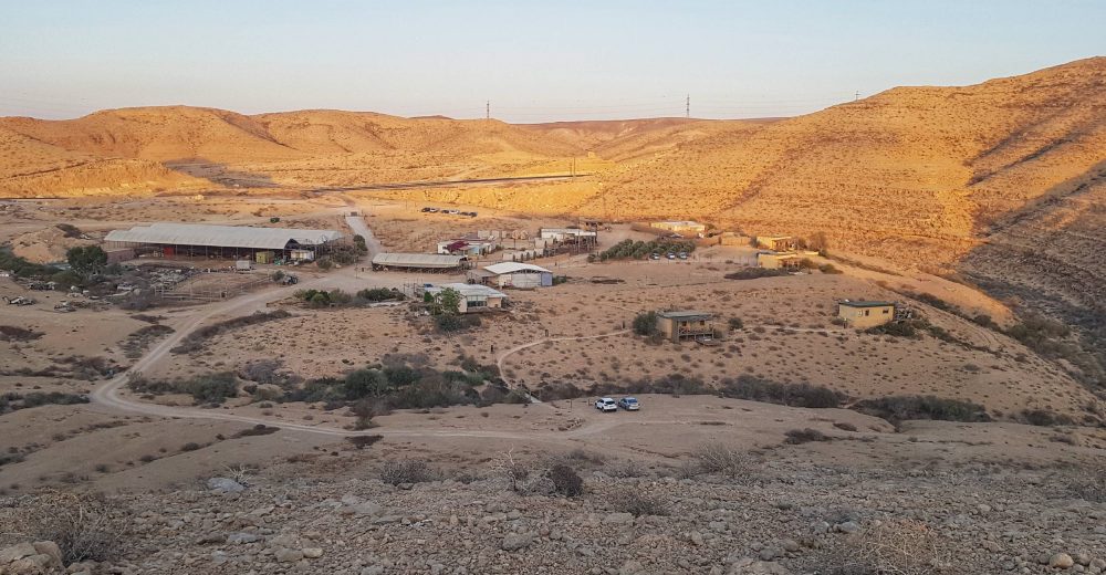 חוות נאות (12)
