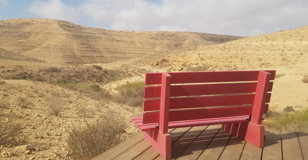 חוות נאות (14)